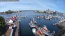 ./images/victoria/wharf/20250606/wharf20250606_095010M.jpg