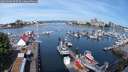 ./images/victoria/wharf/20250606/wharf20250606_095508M.jpg