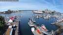 ./images/victoria/wharf/20250606/wharf20250606_103508M.jpg