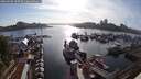 ./images/victoria/wharf/20250606/wharf20250606_185009M.jpg