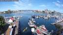 ./images/victoria/wharf/20250607/wharf20250607_094010M.jpg