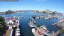 ./images/victoria/wharf/20250607/wharf20250607_110508M.jpg