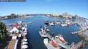 ./images/victoria/wharf/20250607/wharf20250607_111011M.jpg