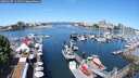 ./images/victoria/wharf/20250607/wharf20250607_111511M.jpg