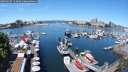./images/victoria/wharf/20250607/wharf20250607_114009M.jpg