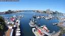 ./images/victoria/wharf/20250607/wharf20250607_122011M.jpg