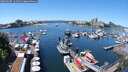 ./images/victoria/wharf/20250607/wharf20250607_124511M.jpg