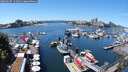./images/victoria/wharf/20250607/wharf20250607_131011M.jpg