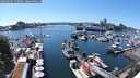 ./images/victoria/wharf/20250607/wharf20250607_150509M.jpg