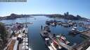 ./images/victoria/wharf/20250607/wharf20250607_170508M.jpg