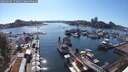 ./images/victoria/wharf/20250607/wharf20250607_172010M.jpg