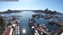 ./images/victoria/wharf/20250607/wharf20250607_174510M.jpg