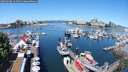 ./images/victoria/wharf/20250608/wharf20250608_111511M.jpg