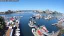 ./images/victoria/wharf/20250608/wharf20250608_113509M.jpg