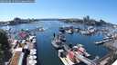 ./images/victoria/wharf/20250608/wharf20250608_151511M.jpg