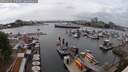 ./images/victoria/wharf/20250612/wharf20250612_150507M.jpg