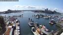 ./images/victoria/wharf/20250613/wharf20250613_155507M.jpg