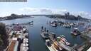 ./images/victoria/wharf/20250613/wharf20250613_160013M.jpg