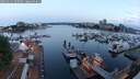 ./images/victoria/wharf/20250614/wharf20250614_050508M.jpg