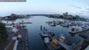 ./images/victoria/wharf/20250614/wharf20250614_051009M.jpg