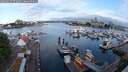 ./images/victoria/wharf/20250614/wharf20250614_071010M.jpg
