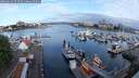 ./images/victoria/wharf/20250614/wharf20250614_073508M.jpg
