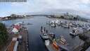 ./images/victoria/wharf/20250614/wharf20250614_083508M.jpg