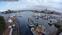 ./images/victoria/wharf/20250614/wharf20250614_084010M.jpg