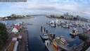 ./images/victoria/wharf/20250614/wharf20250614_085011M.jpg