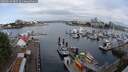 ./images/victoria/wharf/20250614/wharf20250614_085510M.jpg