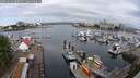 ./images/victoria/wharf/20250614/wharf20250614_090011M.jpg