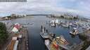 ./images/victoria/wharf/20250614/wharf20250614_091511M.jpg