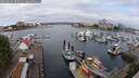 ./images/victoria/wharf/20250614/wharf20250614_092010M.jpg