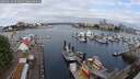 ./images/victoria/wharf/20250614/wharf20250614_093010M.jpg