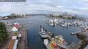 ./images/victoria/wharf/20250614/wharf20250614_093509M.jpg