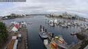./images/victoria/wharf/20250614/wharf20250614_100509M.jpg