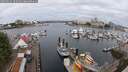 ./images/victoria/wharf/20250614/wharf20250614_102510M.jpg