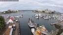 ./images/victoria/wharf/20250614/wharf20250614_103011M.jpg