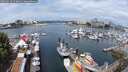 ./images/victoria/wharf/20250614/wharf20250614_110011M.jpg