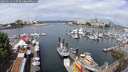 ./images/victoria/wharf/20250614/wharf20250614_110508M.jpg