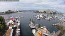 ./images/victoria/wharf/20250614/wharf20250614_111010M.jpg