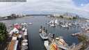 ./images/victoria/wharf/20250614/wharf20250614_112008M.jpg