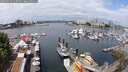 ./images/victoria/wharf/20250614/wharf20250614_112510M.jpg