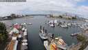 ./images/victoria/wharf/20250614/wharf20250614_113509M.jpg