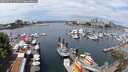./images/victoria/wharf/20250614/wharf20250614_114511M.jpg