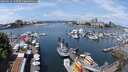 ./images/victoria/wharf/20250614/wharf20250614_120509M.jpg