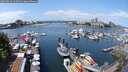 ./images/victoria/wharf/20250614/wharf20250614_122510M.jpg