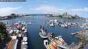 ./images/victoria/wharf/20250614/wharf20250614_123011M.jpg