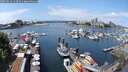 ./images/victoria/wharf/20250614/wharf20250614_123510M.jpg