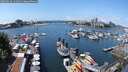 ./images/victoria/wharf/20250614/wharf20250614_131012M.jpg